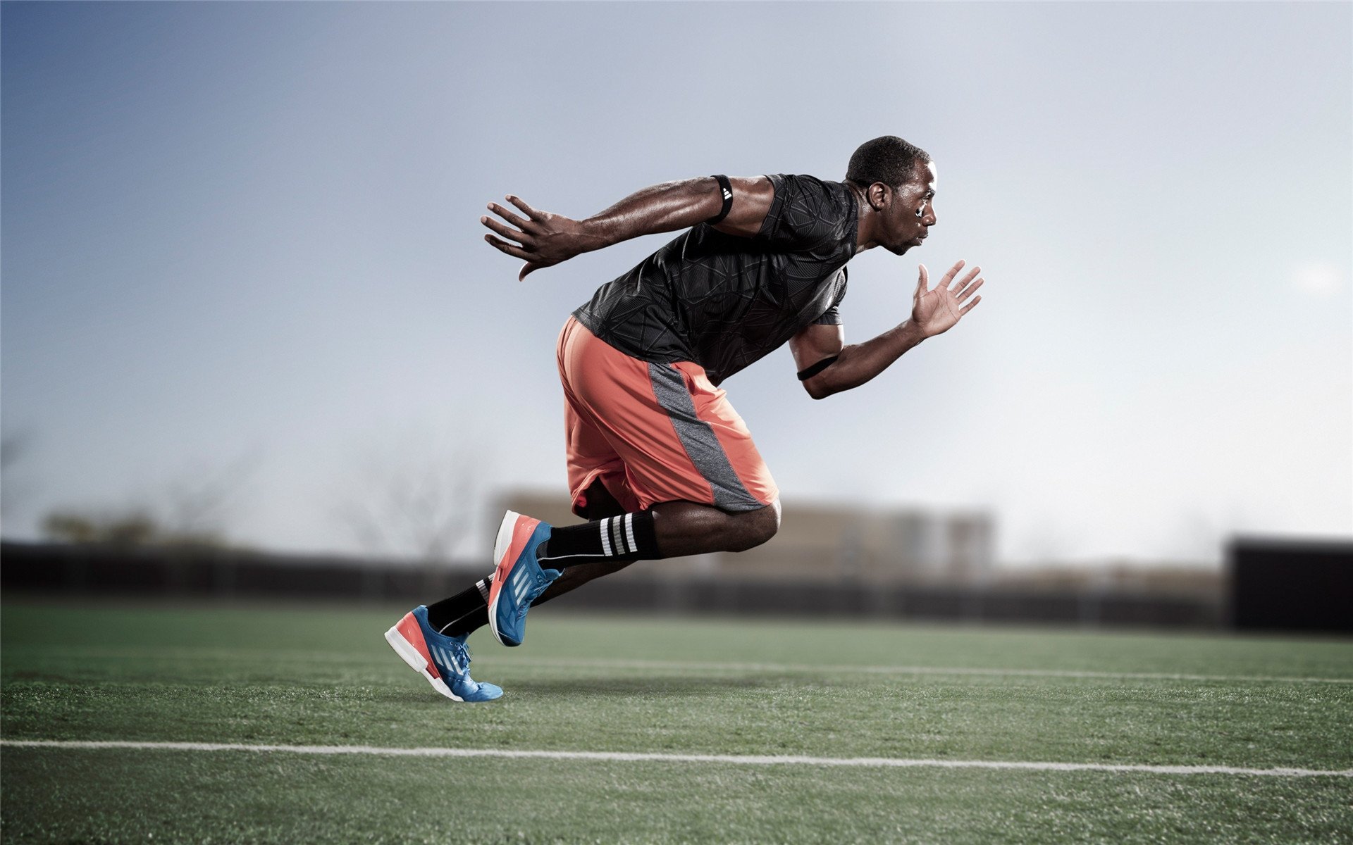 历史之夜：F1的一次经典冲刺，f1历史分站冠军排名